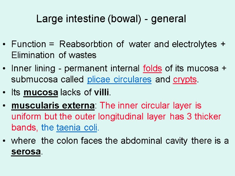 Large intestine (bowal) - general Function =  Reabsorbtion of  water and electrolytes